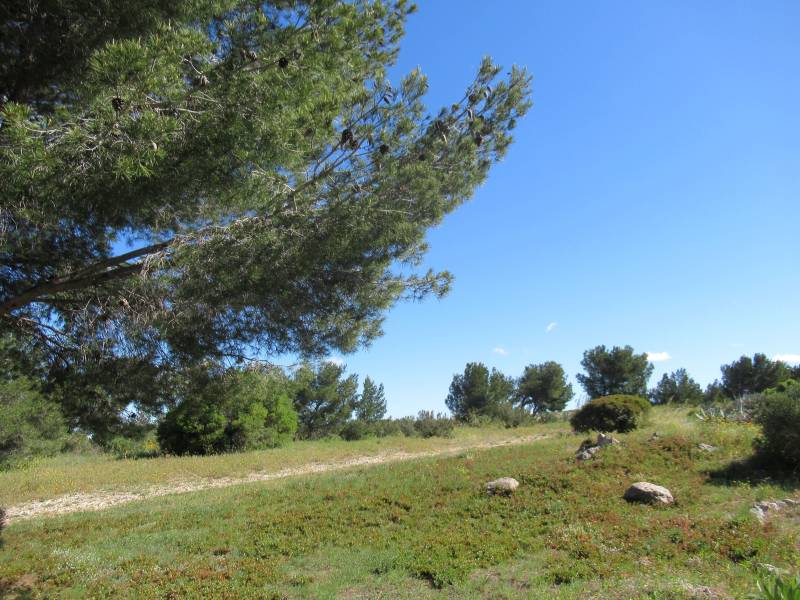 maison T3 sur la côte bleue à acheter 